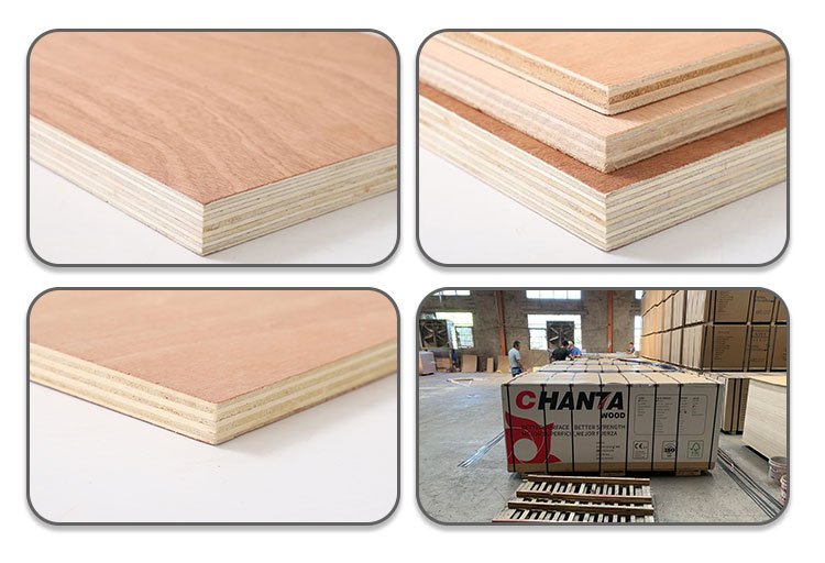 pencil cedar plywood price