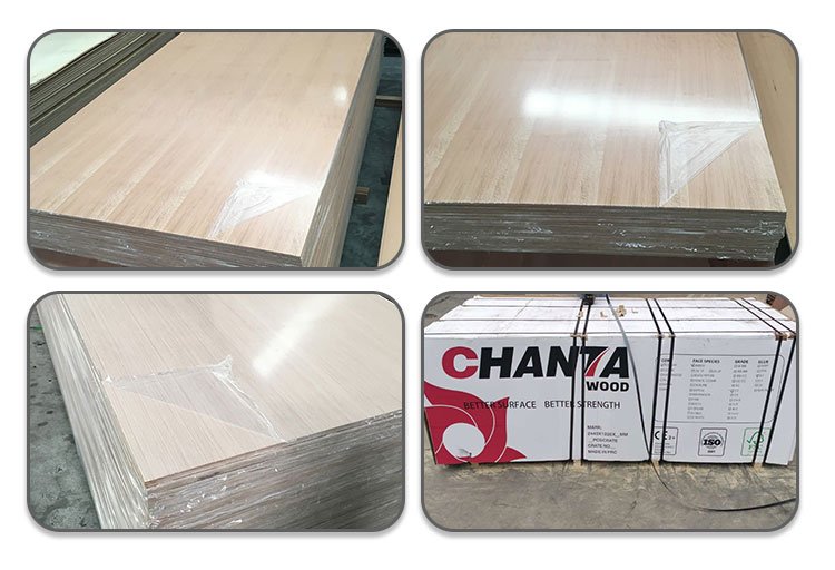 beech veneer plywood price